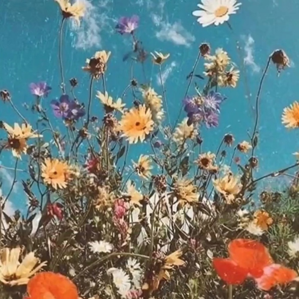 Meet your Posher, Kaitlyn